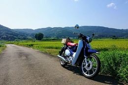【スーパーカブ乗りたい！】はじめての『スーパーカブおどおど』を解決 （乗り方編）＃あつまれ！_おどおど学生。